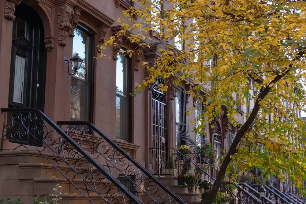 A row of brownstone houses with ornate stair railings and small front gardens. The homes have tall, arched windows and intricate architectural details. A tree with yellow leaves stands in the foreground, casting a warm, autumnal atmosphere.